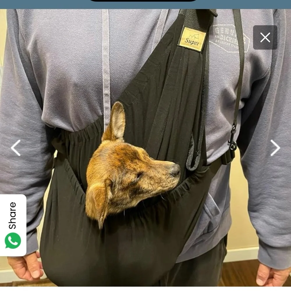Supet gray Small/Medium Dog Carrier, wear as sling or over both shoulders! NWOT!